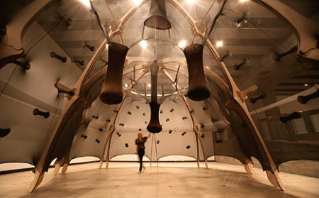 Внутриутробная архитектектоника: Ernesto Neto